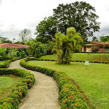 Hotel Termales Del Bosque & Hot Springs La Marina Exterior foto