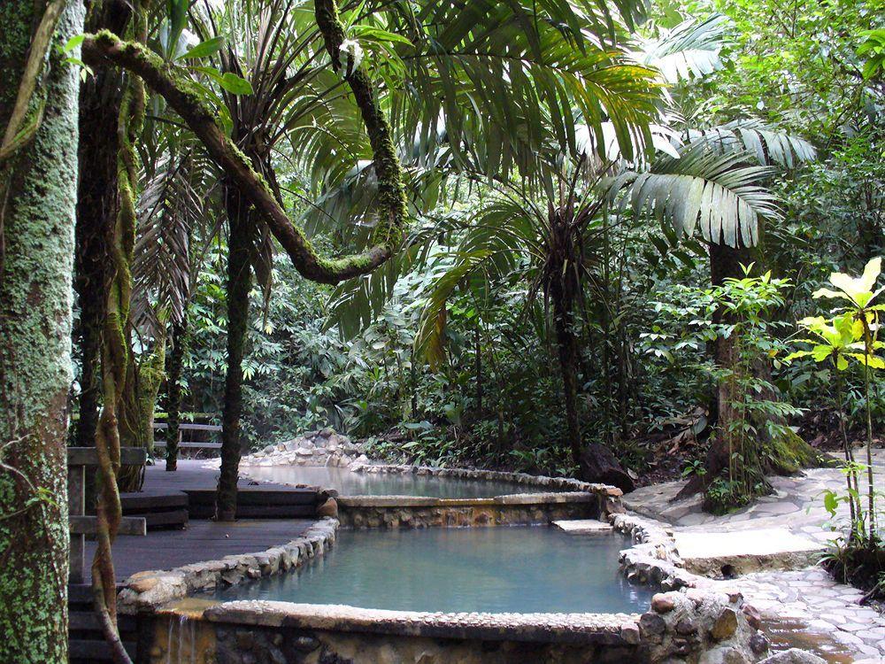 Hotel Termales Del Bosque & Hot Springs La Marina Exterior foto