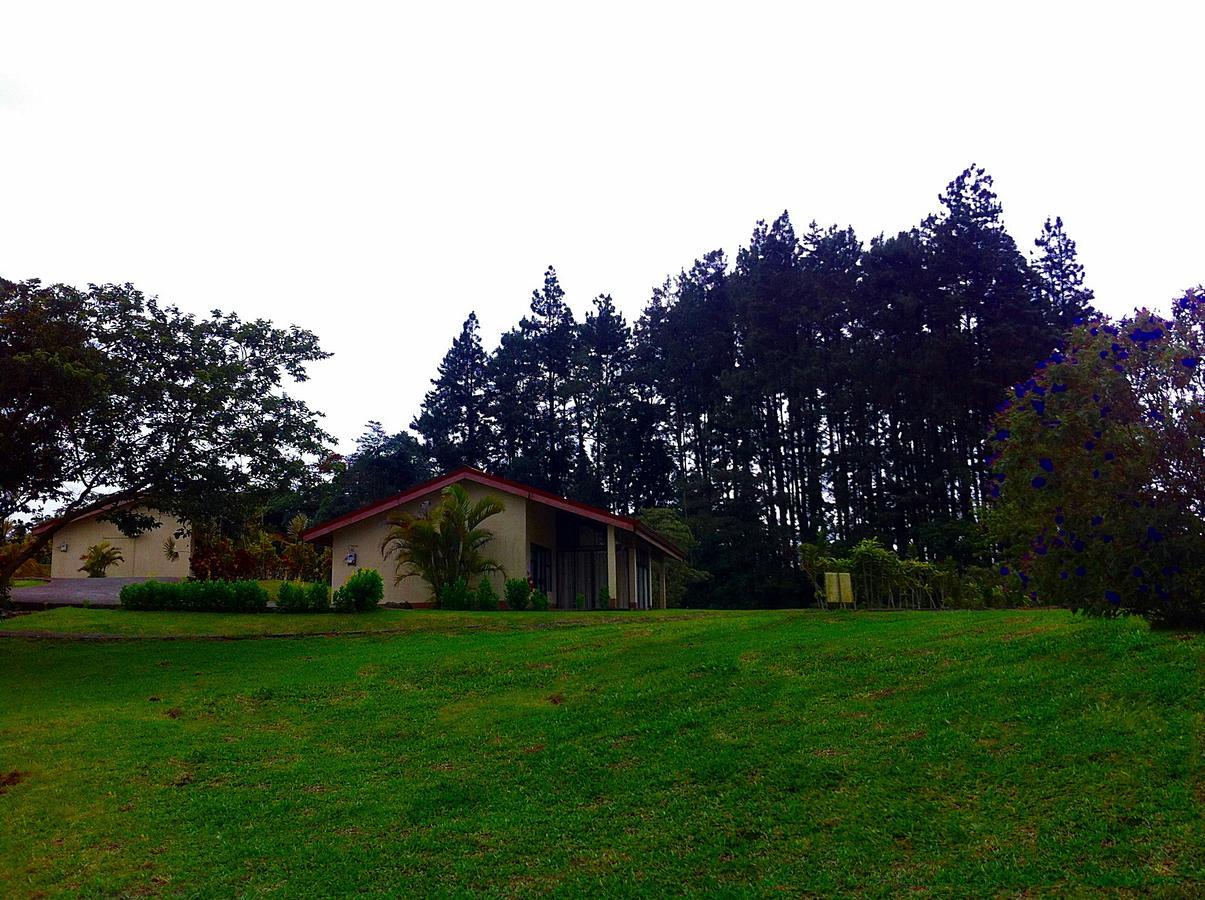Hotel Termales Del Bosque & Hot Springs La Marina Exterior foto