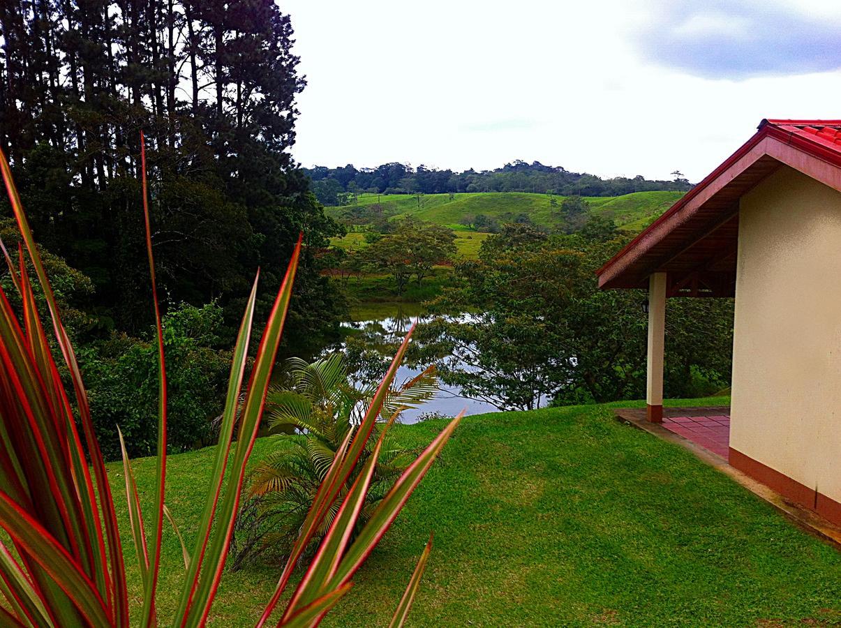 Hotel Termales Del Bosque & Hot Springs La Marina Exterior foto
