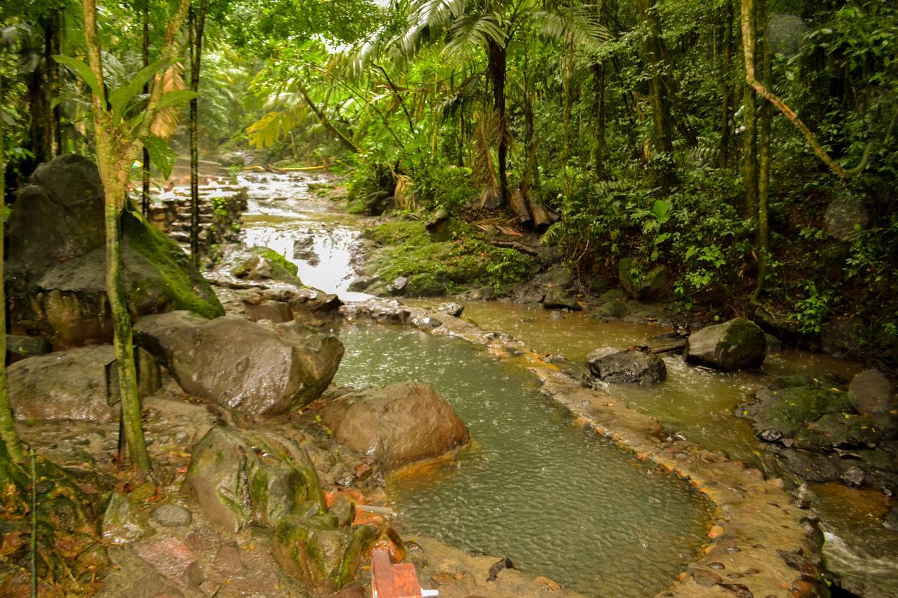 Hotel Termales Del Bosque & Hot Springs La Marina Exterior foto