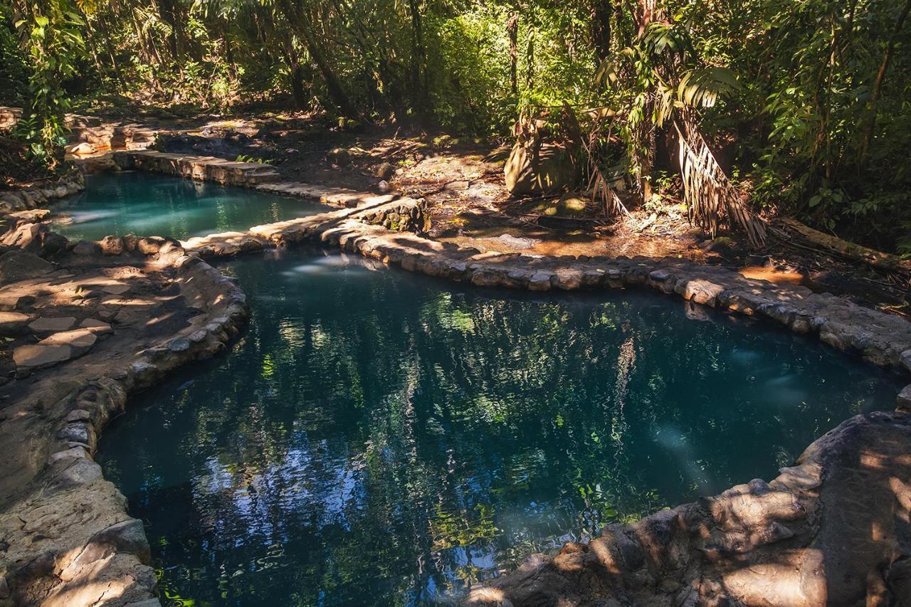 Hotel Termales Del Bosque & Hot Springs La Marina Exterior foto