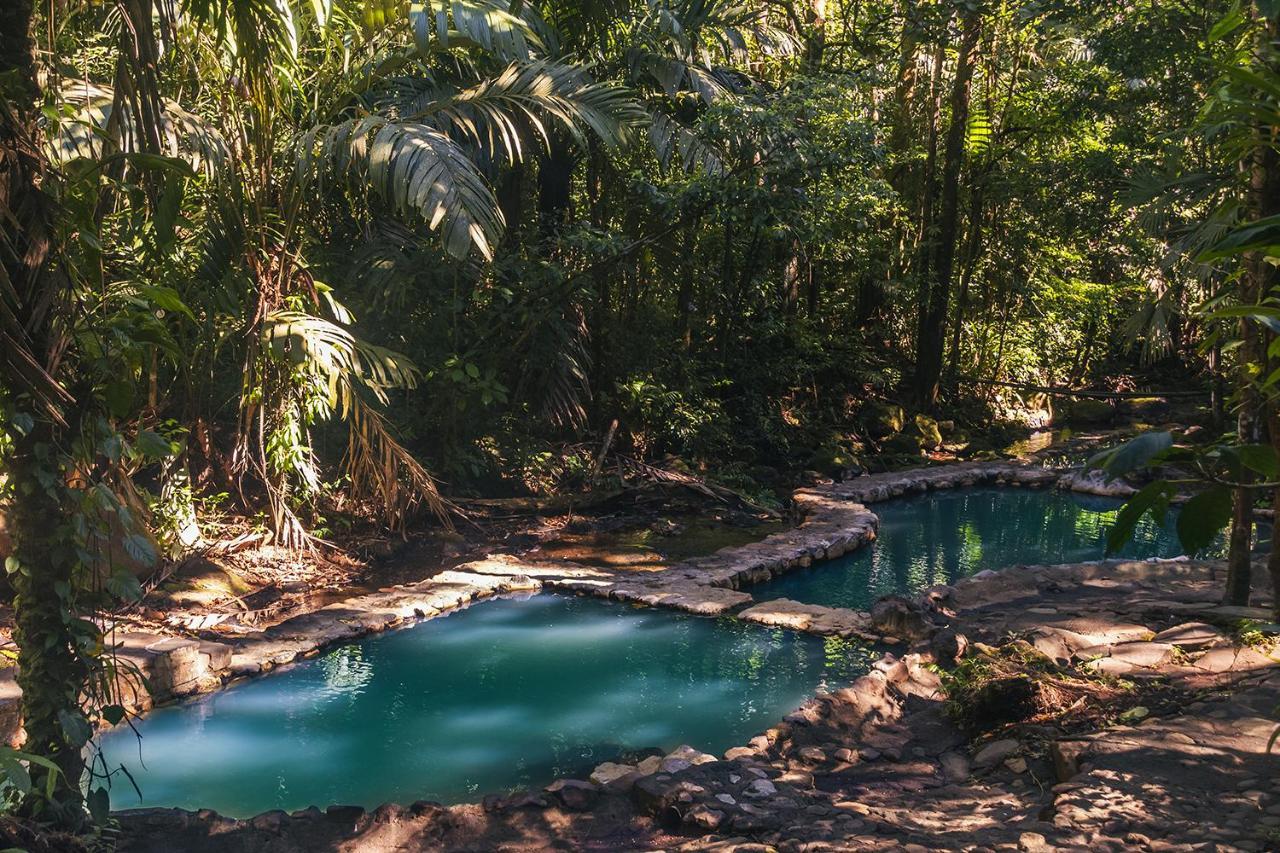Hotel Termales Del Bosque & Hot Springs La Marina Exterior foto